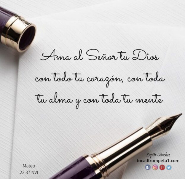 ¿Cómo Renovar Tu Amor Por Dios En Un Mundo Lleno De Distracciones?
